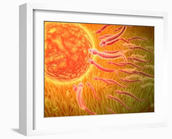 Sperm Traveling Towards Egg with Cellia-null-Framed Art Print