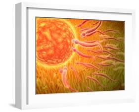 Sperm Traveling Towards Egg with Cellia-null-Framed Art Print