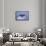 Sperm Whale Fluke-DLILLC-Framed Stretched Canvas displayed on a wall
