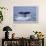 Sperm Whale Fluke-DLILLC-Framed Photographic Print displayed on a wall