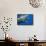 Sperm Whale Head-Reinhard Dirscherl-Framed Stretched Canvas displayed on a wall