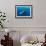 Sperm whale mother and calf,  Dominica, Caribbean Sea-Franco Banfi-Framed Photographic Print displayed on a wall