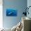 Sperm whale mother and calf,  Dominica, Caribbean Sea-Franco Banfi-Stretched Canvas displayed on a wall