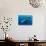 Sperm whale mother and calf,  Dominica, Caribbean Sea-Franco Banfi-Stretched Canvas displayed on a wall