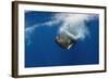 Sperm Whale (Physeter Macrocephalus) Diving, Pico, Azores, Portugal, June 2009-Lundgren-Framed Photographic Print