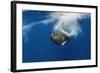 Sperm Whale (Physeter Macrocephalus) Diving, Pico, Azores, Portugal, June 2009-Lundgren-Framed Photographic Print