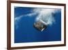 Sperm Whale (Physeter Macrocephalus) Diving, Pico, Azores, Portugal, June 2009-Lundgren-Framed Photographic Print