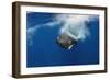 Sperm Whale (Physeter Macrocephalus) Diving, Pico, Azores, Portugal, June 2009-Lundgren-Framed Photographic Print