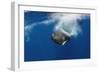 Sperm Whale (Physeter Macrocephalus) Diving, Pico, Azores, Portugal, June 2009-Lundgren-Framed Photographic Print