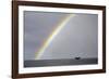 Sperm whale tail fluke above water as it dives below a rainbow, Caribbean Sea. Digital composite-Franco Banfi-Framed Photographic Print