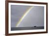 Sperm whale tail fluke above water as it dives below a rainbow, Caribbean Sea. Digital composite-Franco Banfi-Framed Photographic Print