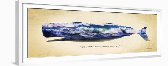 Sperm Whale-Alan Hausenflock-Framed Premium Giclee Print