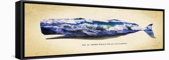 Sperm Whale-Alan Hausenflock-Framed Stretched Canvas