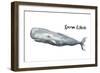 Sperm Whale-Patricia Pinto-Framed Premium Giclee Print