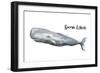 Sperm Whale-Patricia Pinto-Framed Premium Giclee Print