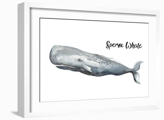 Sperm Whale-Patricia Pinto-Framed Art Print