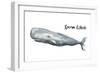 Sperm Whale-Patricia Pinto-Framed Art Print