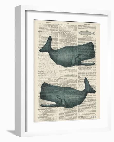 Sperm Whale-Tina Carlson-Framed Art Print