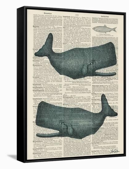 Sperm Whale-Tina Carlson-Framed Stretched Canvas