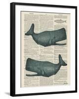 Sperm Whale-Tina Carlson-Framed Art Print