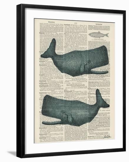 Sperm Whale-Tina Carlson-Framed Art Print