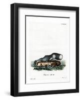 Sperm Whale-null-Framed Premium Giclee Print