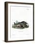 Sperm Whale-null-Framed Giclee Print