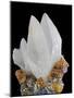 Sphalerite with Calcite-Walter Geiersperger-Mounted Photographic Print