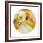 Sphere 1-Florence Delva-Framed Giclee Print