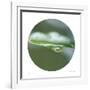 Sphere 2-Florence Delva-Framed Giclee Print