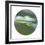 Sphere 2-Florence Delva-Framed Giclee Print