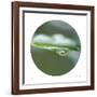 Sphere 2-Florence Delva-Framed Giclee Print