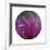 Sphere 3-Florence Delva-Framed Giclee Print