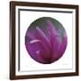 Sphere 3-Florence Delva-Framed Giclee Print