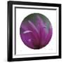 Sphere 3-Florence Delva-Framed Giclee Print