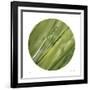 Sphere 4-Florence Delva-Framed Giclee Print