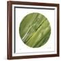 Sphere 4-Florence Delva-Framed Giclee Print