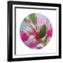 Sphere 5-Florence Delva-Framed Giclee Print