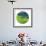 Sphere 8-Florence Delva-Framed Giclee Print displayed on a wall