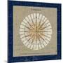 Sphere Compass Blue-Sue Schlabach-Mounted Premium Giclee Print