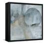 Sphere II-Michelle Oppenheimer-Framed Stretched Canvas