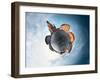 Spherical Panorama of City of Dresden in a Form of Little Planet-Dudarev Mikhail-Framed Photographic Print