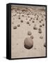 Spherical Rock Formations, Valle De La Luna National Park, San Juan, Argentina, South America-Colin Brynn-Framed Stretched Canvas