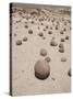 Spherical Rock Formations, Valle De La Luna National Park, San Juan, Argentina, South America-Colin Brynn-Stretched Canvas