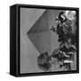 Sphinx and Cheops Pyramid 2 Photograph - Egypt-Lantern Press-Framed Stretched Canvas