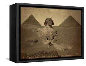 Sphinx and Giza Pyramids, 19th Century-Science Source-Framed Stretched Canvas