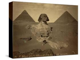 Sphinx and Giza Pyramids, 19th Century-Science Source-Stretched Canvas