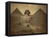 Sphinx and Giza Pyramids, 19th Century-Science Source-Framed Stretched Canvas