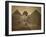 Sphinx and Giza Pyramids, 19th Century-Science Source-Framed Giclee Print