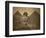 Sphinx and Giza Pyramids, 19th Century-Science Source-Framed Giclee Print